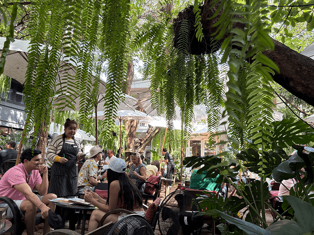 Fern Forest Cafeの内装