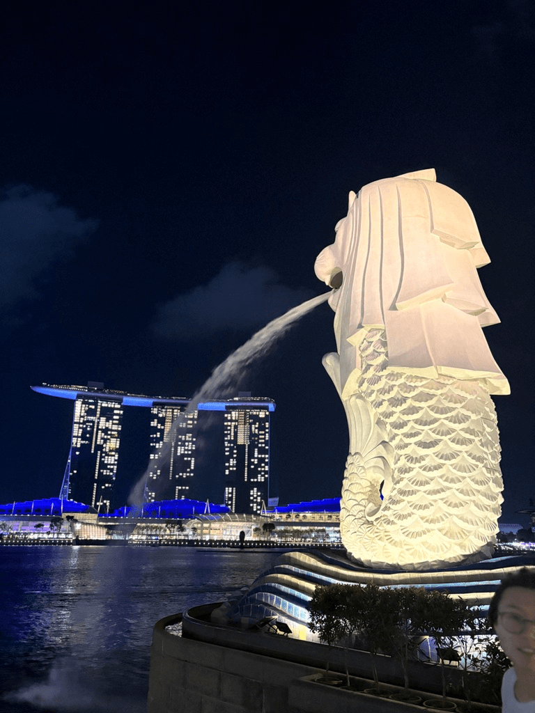 🇸🇬｜シンガポール