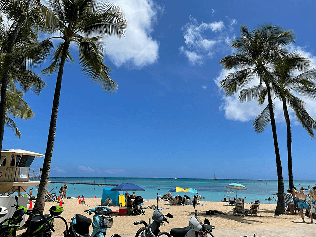 ワイキキの海の画像